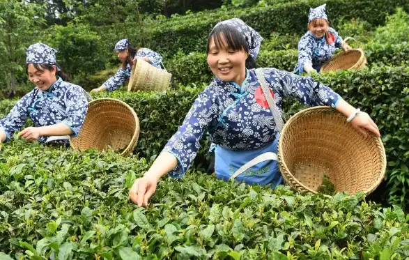 失婚单身交友-上海哪里离异人群多？这三大区域藏着你的下一站幸福💔