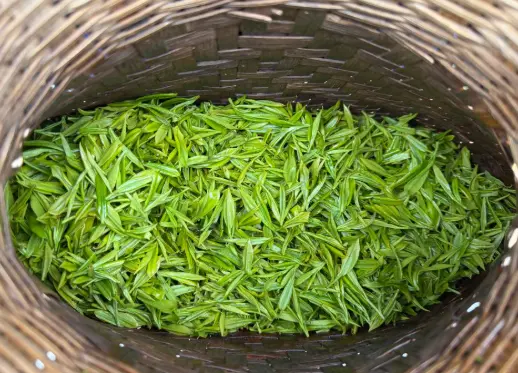 上海魔都咖啡哪几家拉花最好？咖啡师技术测评