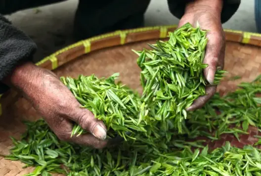 上海中式茶馆点茶体验与宋代点茶课程，花300块当一回宋徽宗？我劝你先看完