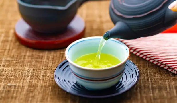 沪上休闲夜游为何成为年轻人社交新宠？